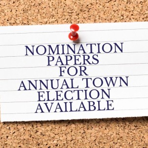 Annual Town Election